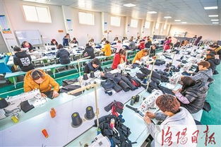 扶貧車(chē)間進(jìn)鄉(xiāng)村 就業(yè)致富有奔頭