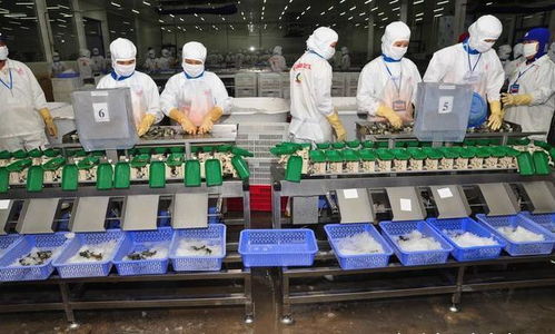 為何說(shuō)越南不可能完成工業(yè)化呢 原因主要是三點(diǎn)